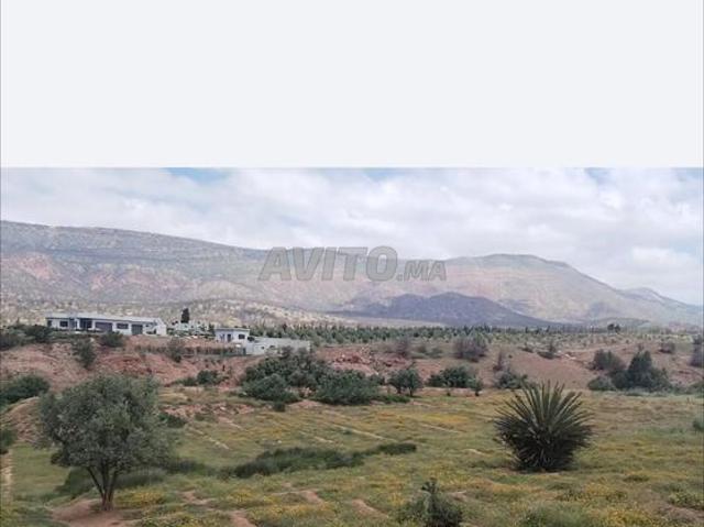 Propriété vente à Al Haouz, L'Oriental