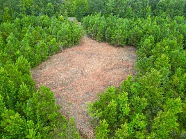 Land for sale in Goshen, Pike County