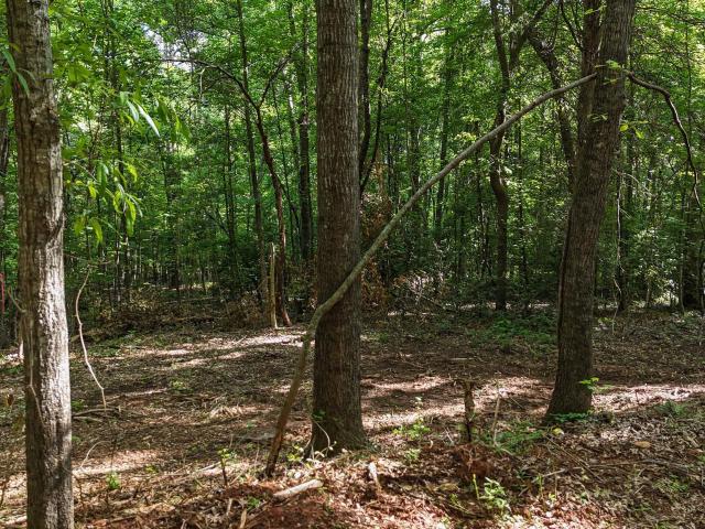 Land for sale in Anderson, South Carolina