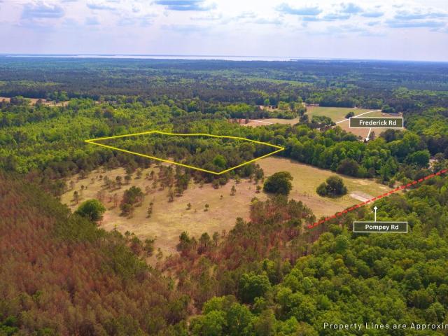 Land for sale in Manning, Clarendon County