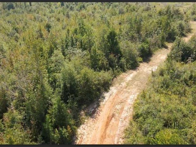 Land for sale in Wilkinson, Georgia
