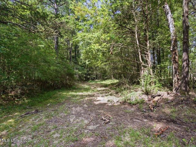 Land for sale in Canton, Mississippi