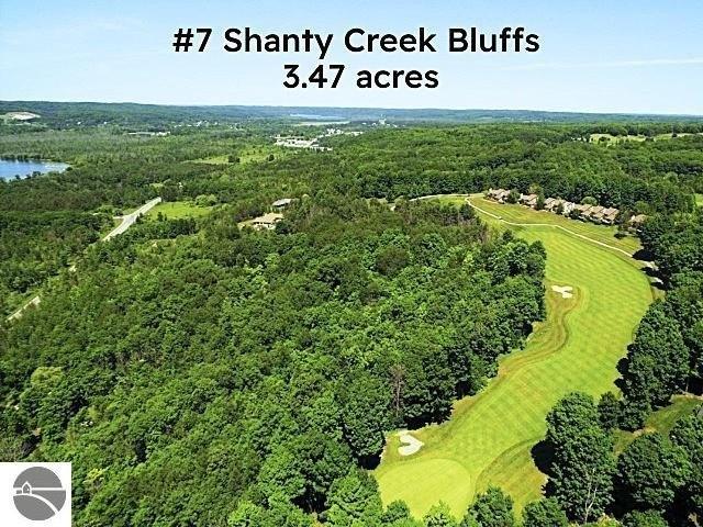 Land for sale in Bellaire, Michigan