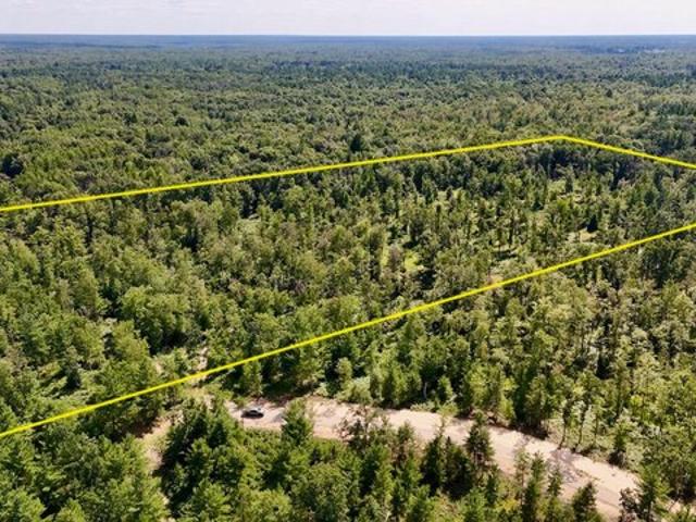 Land for sale in Prescott, Michigan