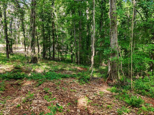 Land for sale in Anderson, South Carolina