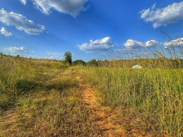 Land for sale in Winfield, Marion County