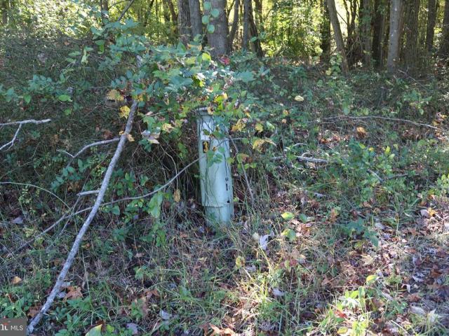 Land for sale in Chesterville Forest, Millington