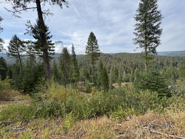 Land for sale in Oregonia