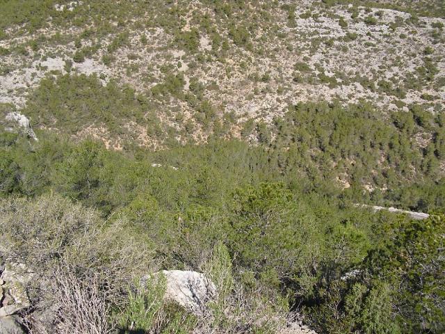 Terreno en venta en Castelló de la Plana / Castellón de la Plana, Castelló / Castellón