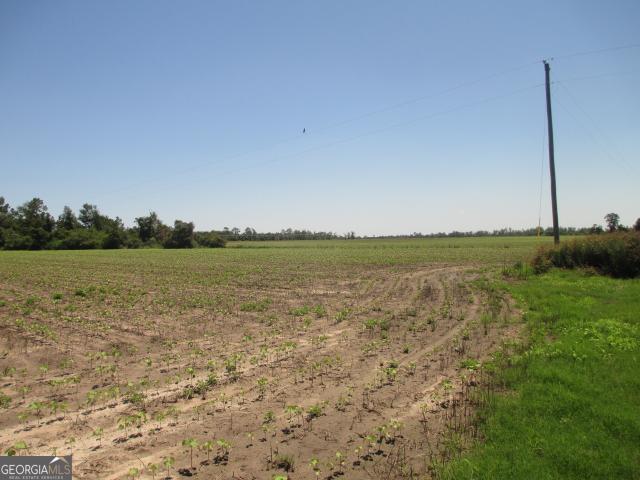 Land for sale in Lumber City, Georgia