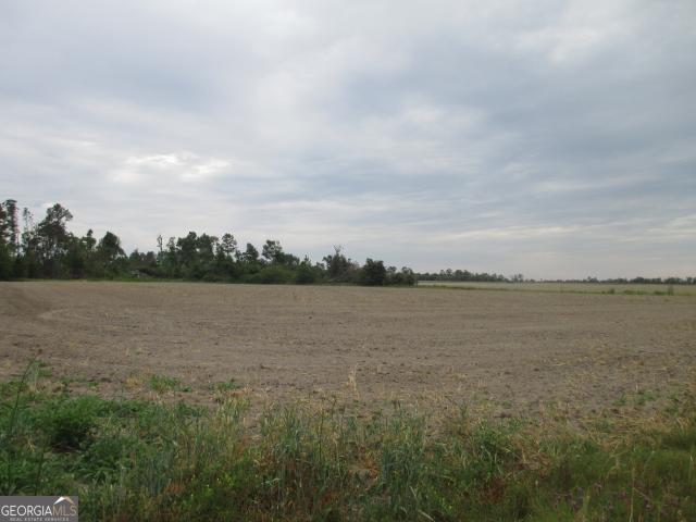 Land for sale in Lumber City, Telfair County