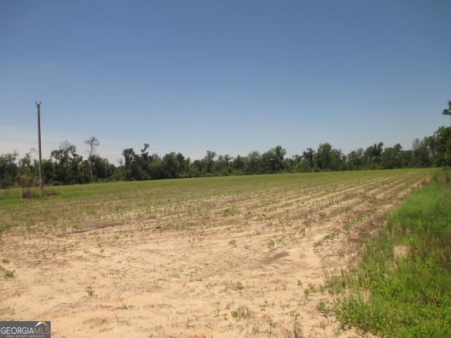Land for sale in Lumber City, Georgia