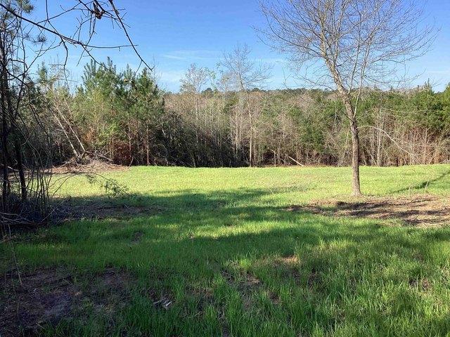 Land for sale in Andalusia, Alabama