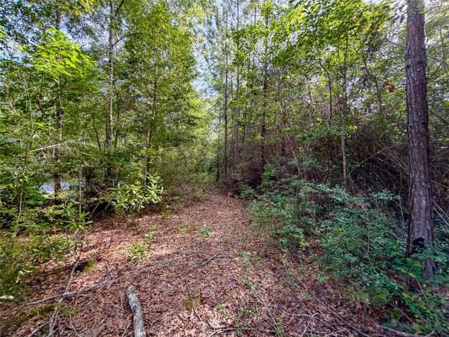 Land for sale in Saratoga, Texas