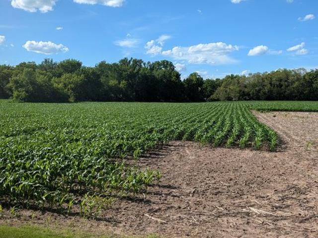 Land for sale in Wisconsin