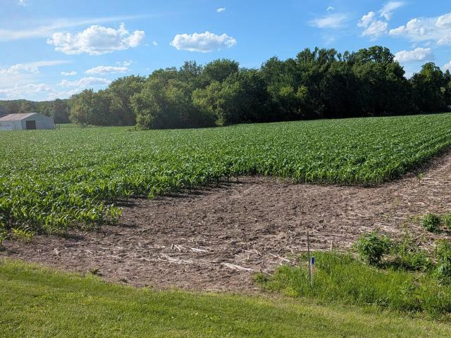 Land for sale in Wisconsin