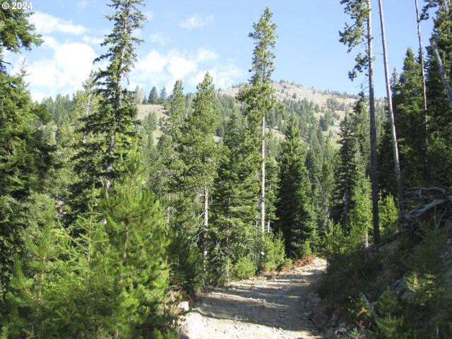 Land for sale in Sumpter, Baker County
