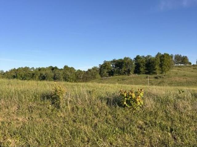 Land for sale in Laurel, Kentucky