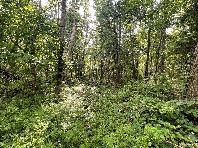 Land for sale in Highland, Highland Township