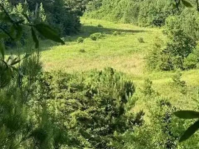 House for rent in Ozark