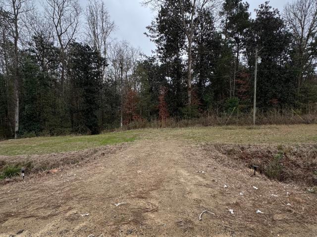 Land for sale in Grady, Georgia