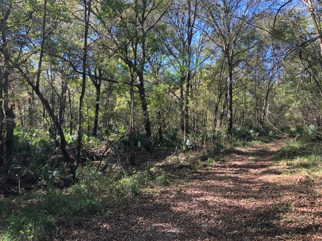 Land for sale in Magnolia, Texas