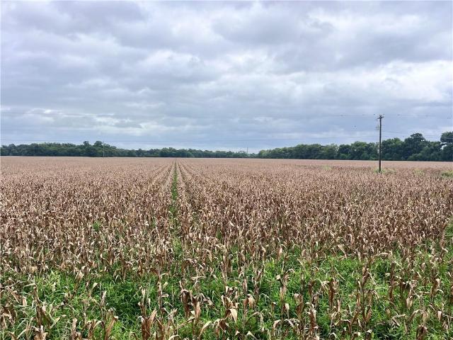 Land for sale in Cottonport, Avoyelles Parish