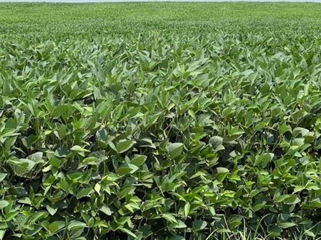 Farm for sale in Donahue, Iowa