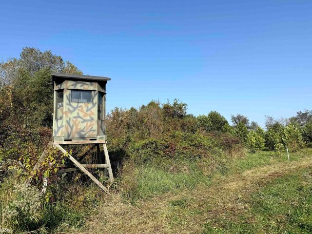 Farm for sale in Corydon, Iowa