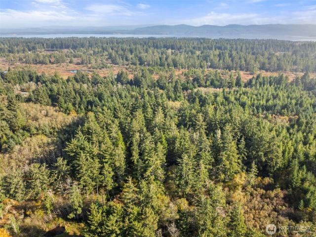 Land for sale in Long Beach, Washington
