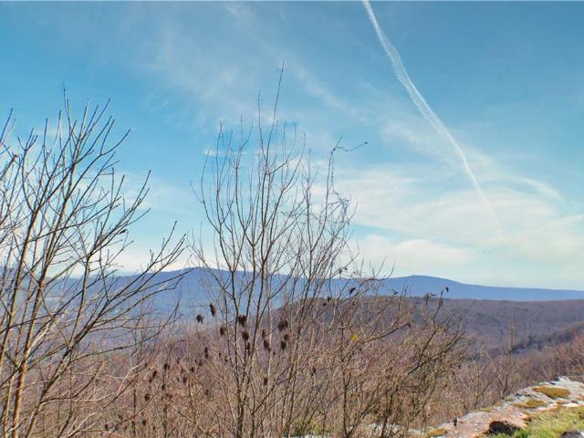 Land for sale in Georgia