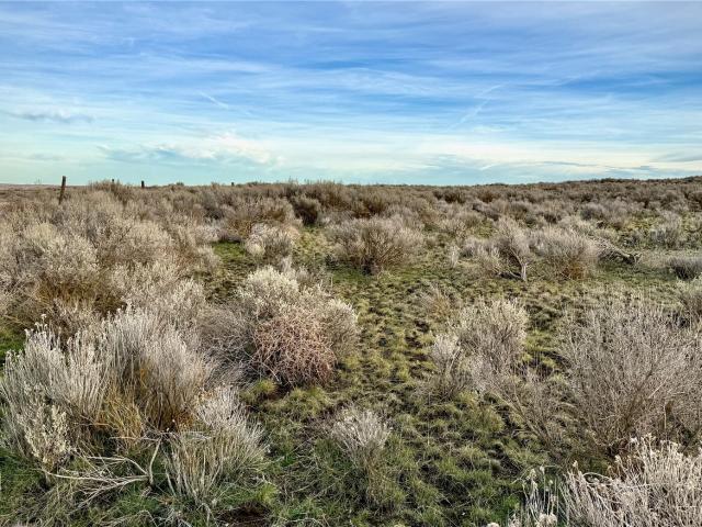 Land for sale in Wilson Creek, Washington
