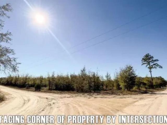 Land for sale in Suwannee, Florida