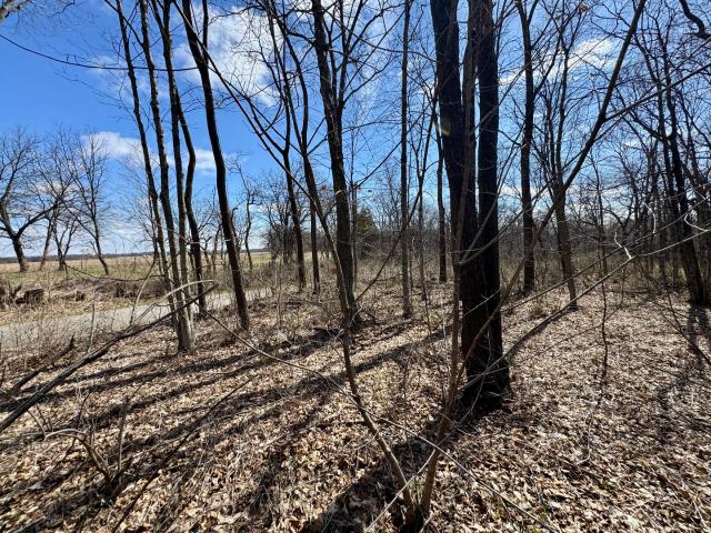 Land for sale in Bureau, Illinois
