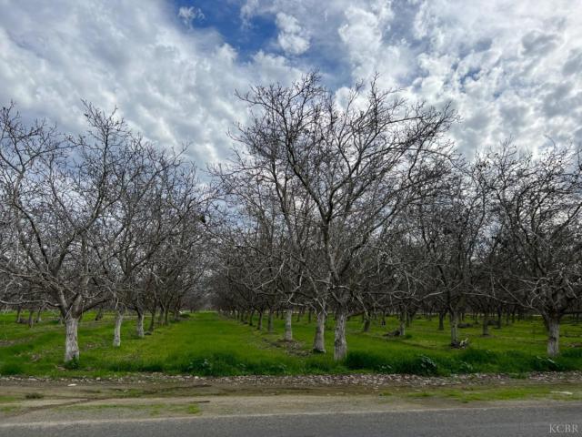 Land for sale in Lemoore, California