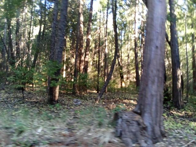 Land for sale in Foresthill, California