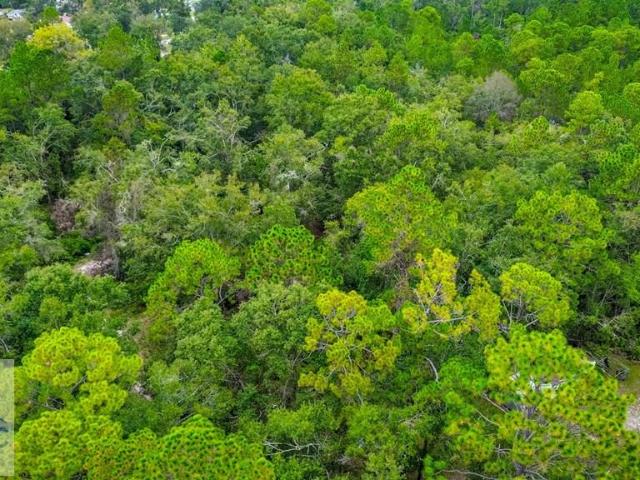 Land for sale in Walthourville, Georgia