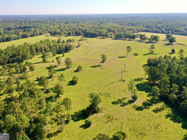 Land for sale in Grady, Georgia