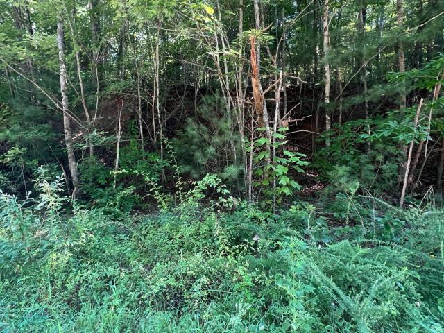 Land for sale in Tennessee