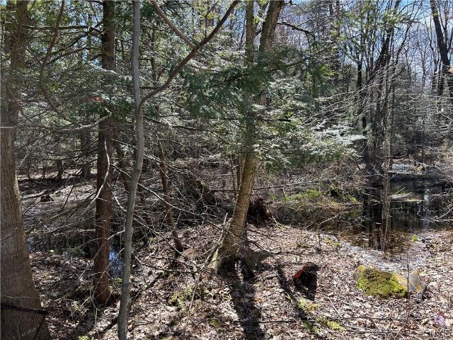 Land for sale in Oneida, New York