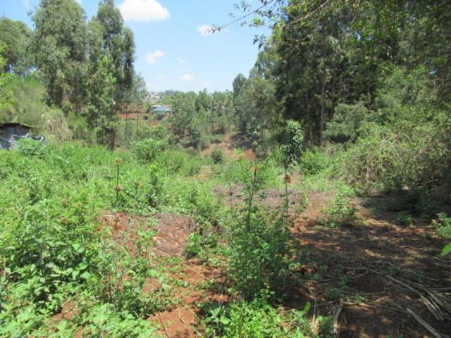 Land for sale in Ruaka, Kiambaa