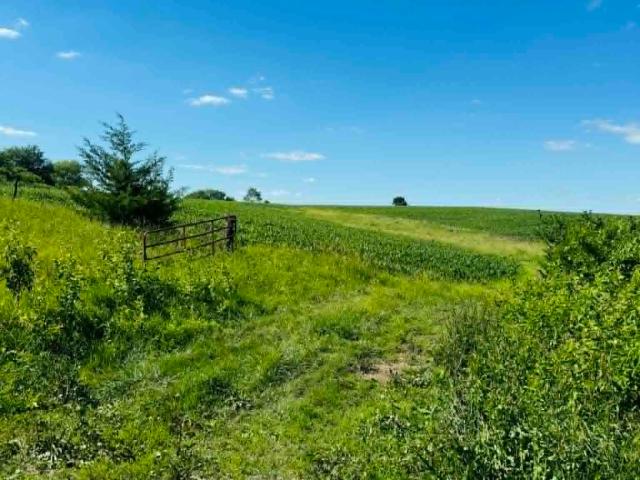 Farm for sale in Ringgold, Iowa