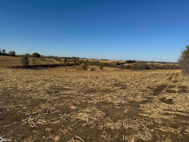 Farm for sale in Sidney, Iowa