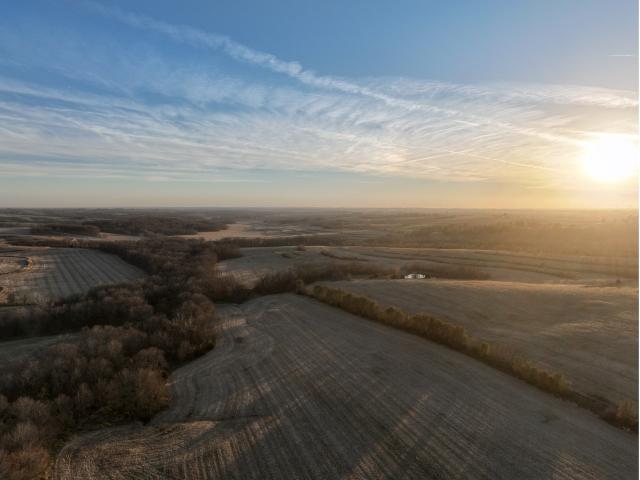 Land for sale in College Springs, Iowa
