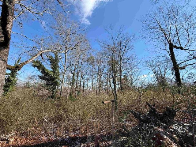 Land for sale in Cullman, Alabama