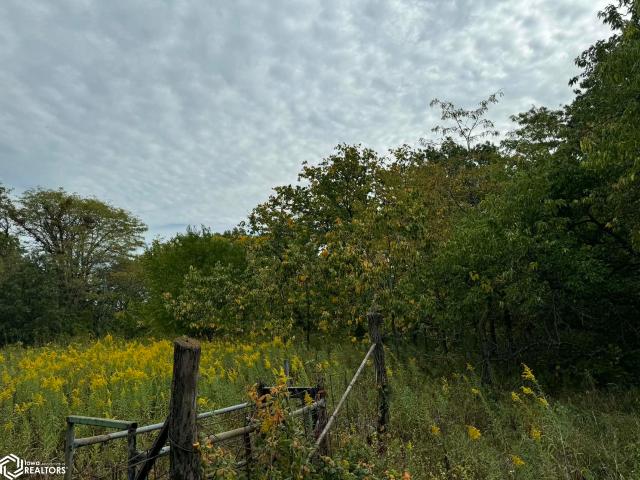 Land for sale in Moulton, Iowa