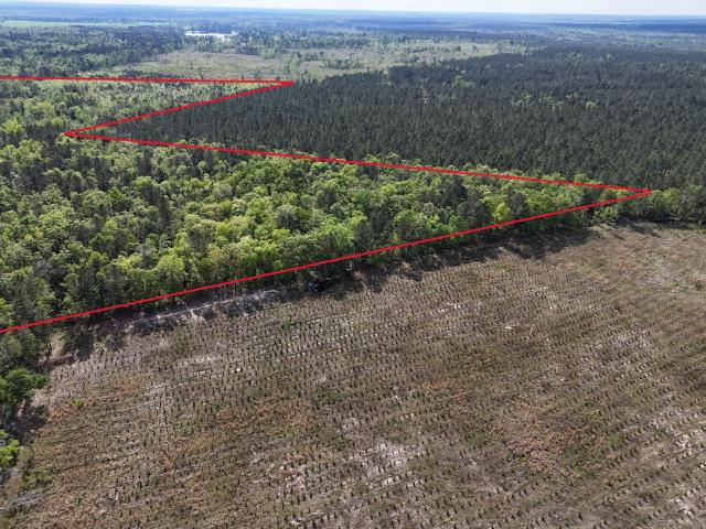 Land for sale in Midville, Georgia