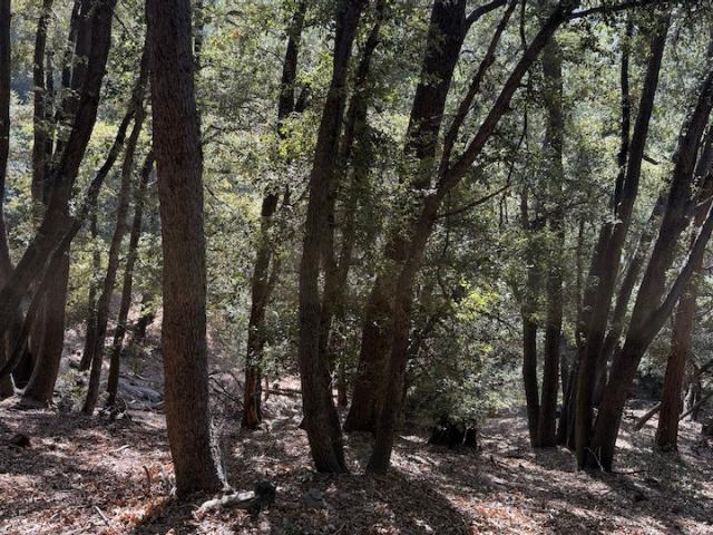 Land for sale in Cedarpines Park, California