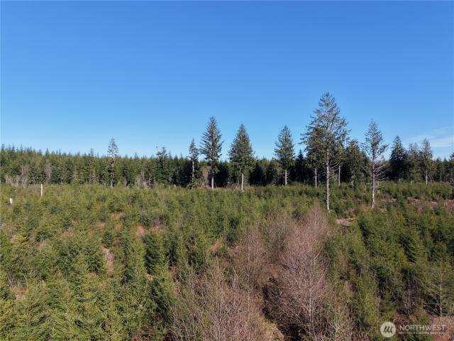 Land for sale in Hoquiam, Washington