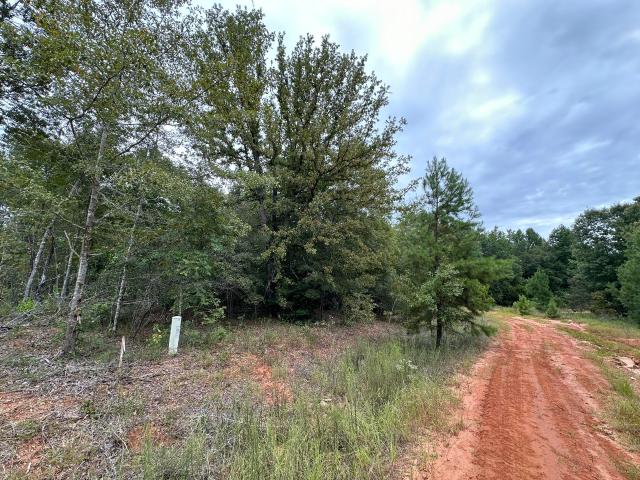 Land for sale in Louisville, Georgia